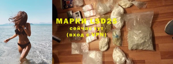 ПСИЛОЦИБИНОВЫЕ ГРИБЫ Белоозёрский