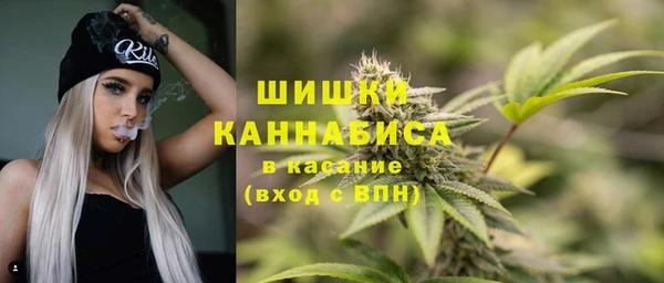 гидропоника Белокуриха