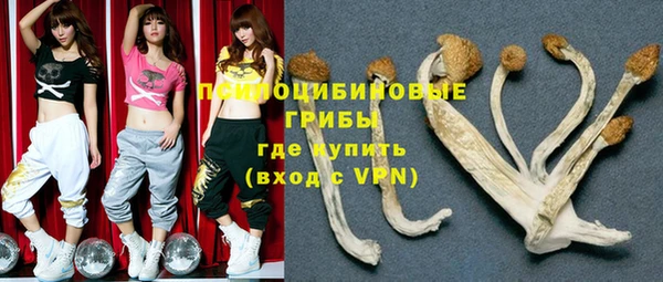 ПСИЛОЦИБИНОВЫЕ ГРИБЫ Белоозёрский