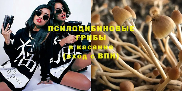 гидропоника Белокуриха