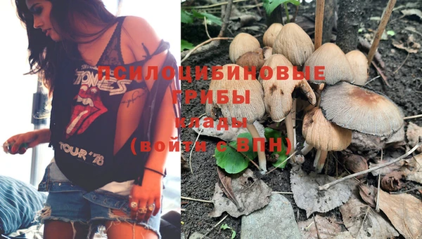 гидропоника Белокуриха