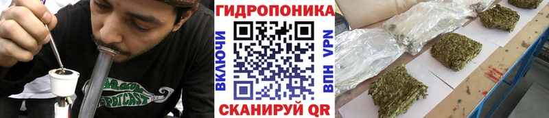 omg онион Мариинский Посад Бошки Шишки тримм